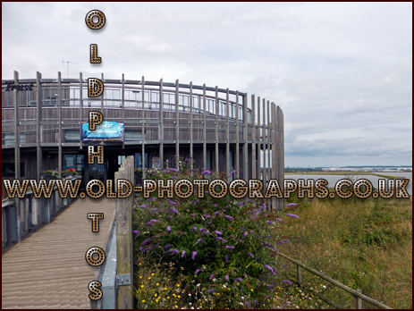 Mucking Marshes : Visitor Centre of Thameside Nature Discovery Park [August 2019]